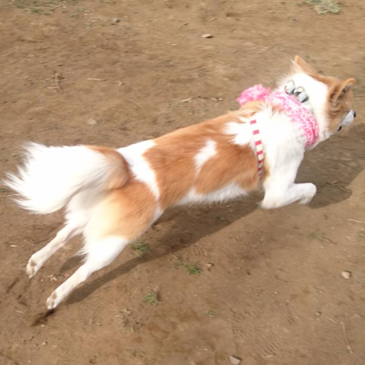 086c5491 5ce2 4931 ad33 5f4019554b7e 1578269099045