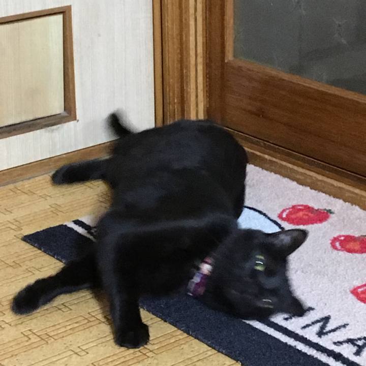 086c675b 1e8f 44be be0b 78055c69d7b9 1546915299877