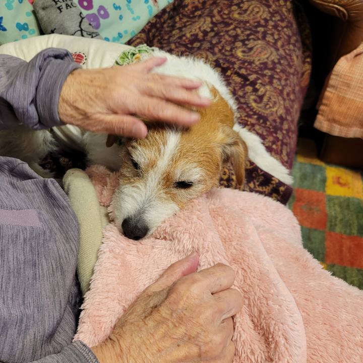 086c7991 2c6d 4c16 bf49 52723d31ef59 1743892466319