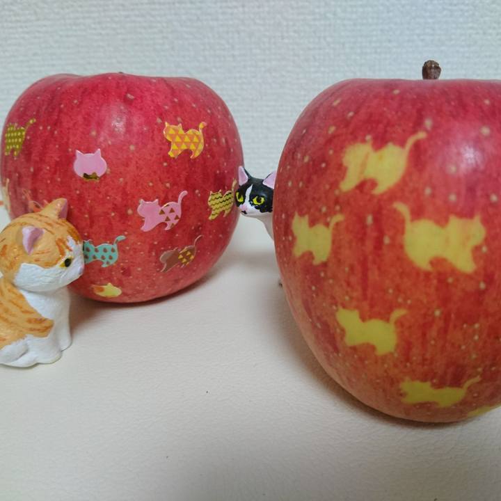 086c8bf5 ae59 4ae9 b01a 7870dafaa0dc 1542454681618