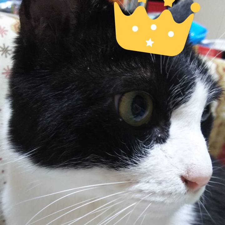 086ca9bd 5480 44b7 9be1 ab1a8cf65ce7 1547971635032