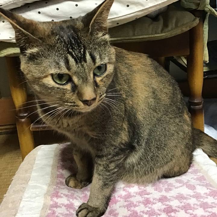 086cae17 39cd 4c9e 816f 316929d5f621 1657977010739