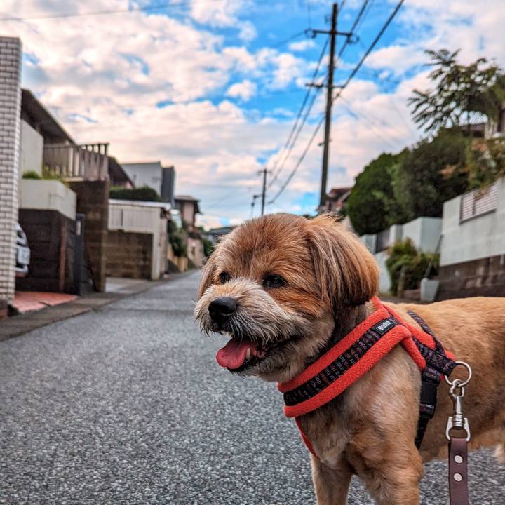 086d26c0 0b67 49a0 879b ca3143cb7568 1694770230068