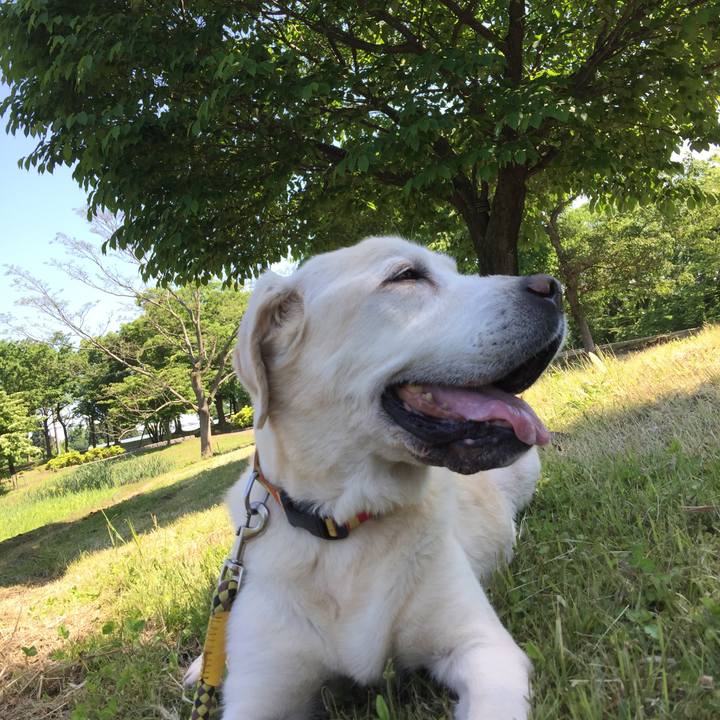 086d7d4d fdce 49b1 ab3c 8b0df0a7a25b 1526950499991