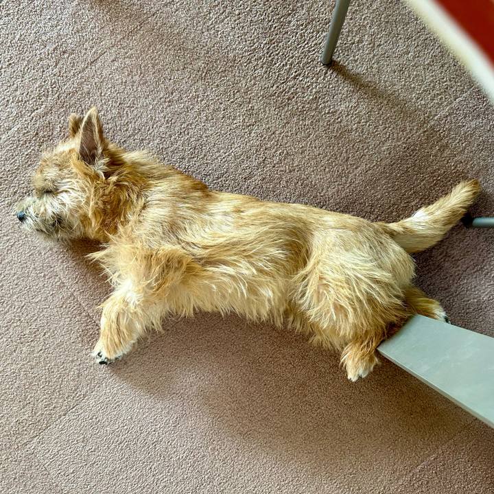 086d8bb6 0f3a 40b0 86ba d62cc0f6f039 1718078719494