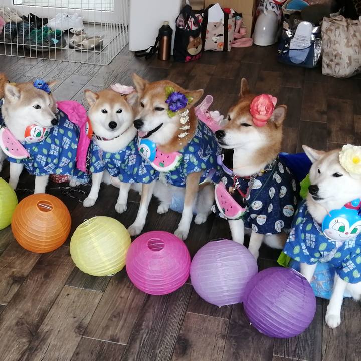 086d8f9b 4072 46bc 8815 e44560bdda3a 1693046378949