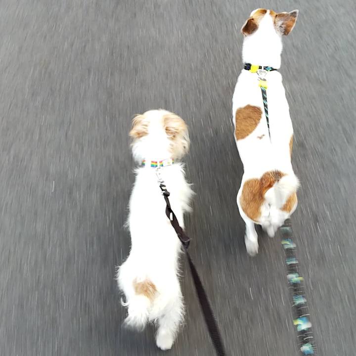 086db259 176a 48fc 8763 f04881969550 1531863358326