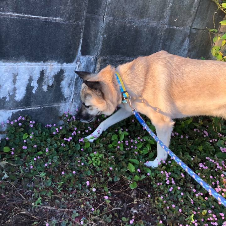 086dd87f a2c6 43e6 9050 142d1df91b85 1573561940837