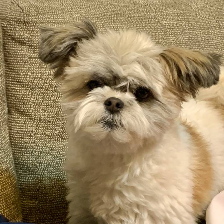 086dde27 aa0a 4684 9b50 fdbfc1c3b711 1582199834260