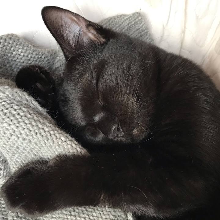 086df643 705e 430d 9c5e f850fbbc7a88 1597662629003