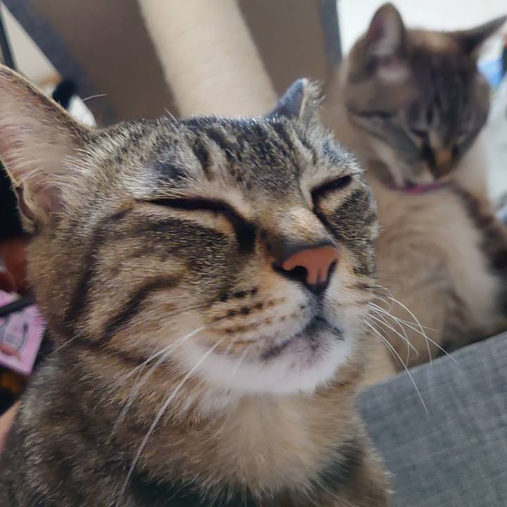 086e1095 93d0 4375 81df 45416689f21b 1683897758097