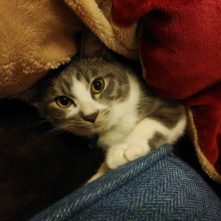 086e2411 d833 42b1 8f34 e3fce8d84e6c 1572964755176