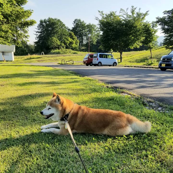 086e484b e659 4e49 ad62 7d80f3afc865 1653378270382