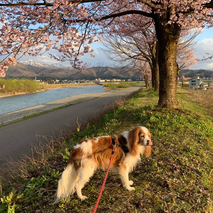 086e856a 7f5d 4656 8327 9242d05a22f6 1586853864827