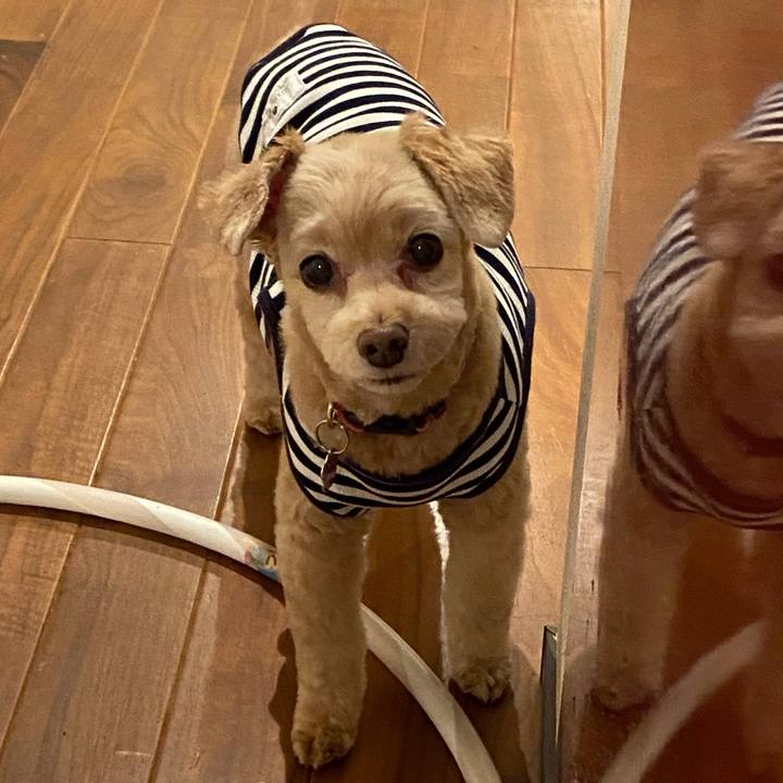 086ec100 35b4 4c0f b92f 6b7c0c9dfe21 1602152251646