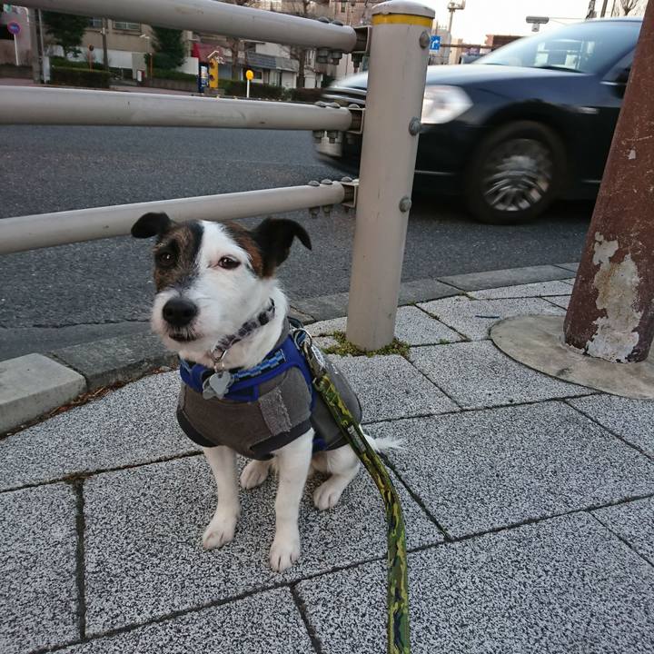 086ee674 b16a 4f9d b862 25474c8e1493 1518817264413