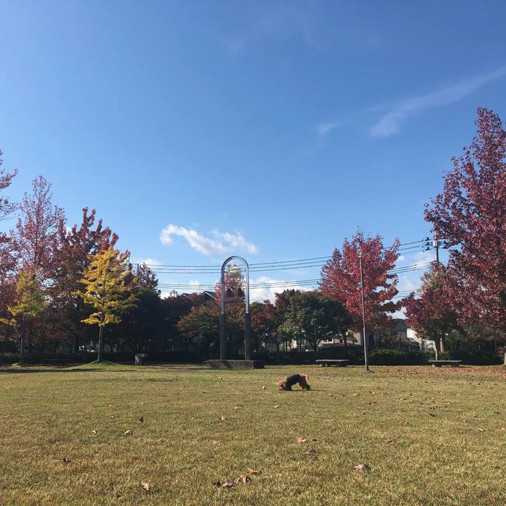 086f22f0 e510 4b4e af07 d1f18549d0bb 1603763112900