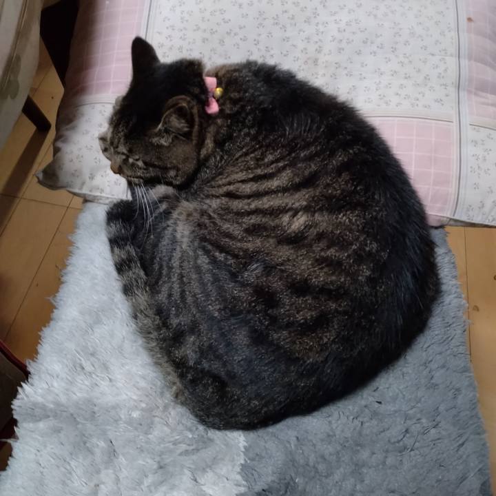 086f3220 54e6 4a0b a1f1 b25d63cc93db 1668983826758