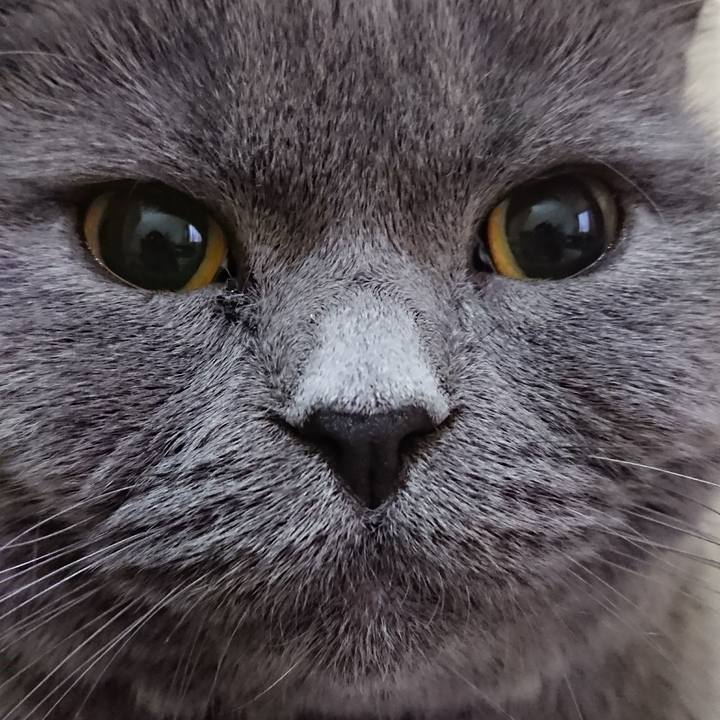 086f714f b30d 4955 bec5 5180338baec2 1543118189618