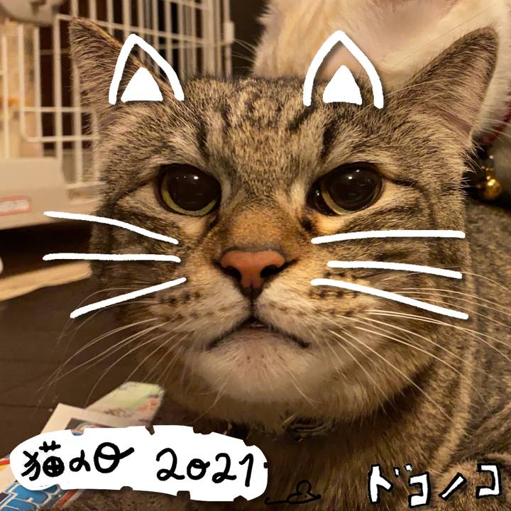 086f9814 95b4 4315 84cc aa0ffd1e0e6e 1613968443847