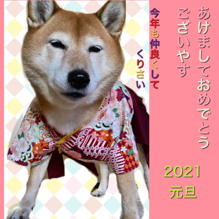 086fc8e3 6076 41c4 b720 dc0e763ec173 1609456697823