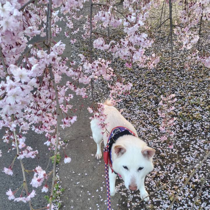 086ff496 4daa 4c08 831d 333a56012c39 1744967239842