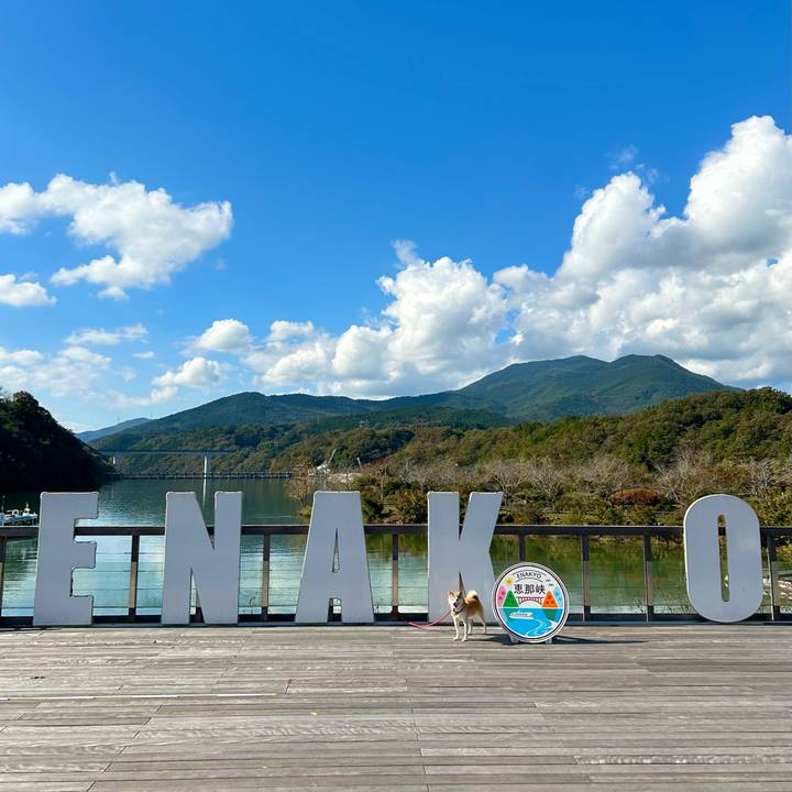 08700f53 9d13 4a9d 82dc d8a1fa2f4c01 1731054921662