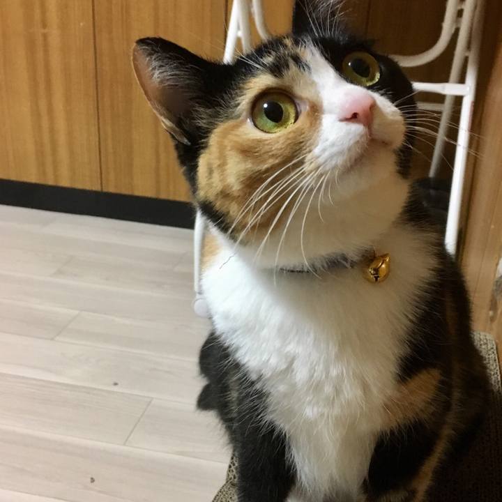 08704b11 ed43 4a39 a7ae 4134897bfdea 1508684242373