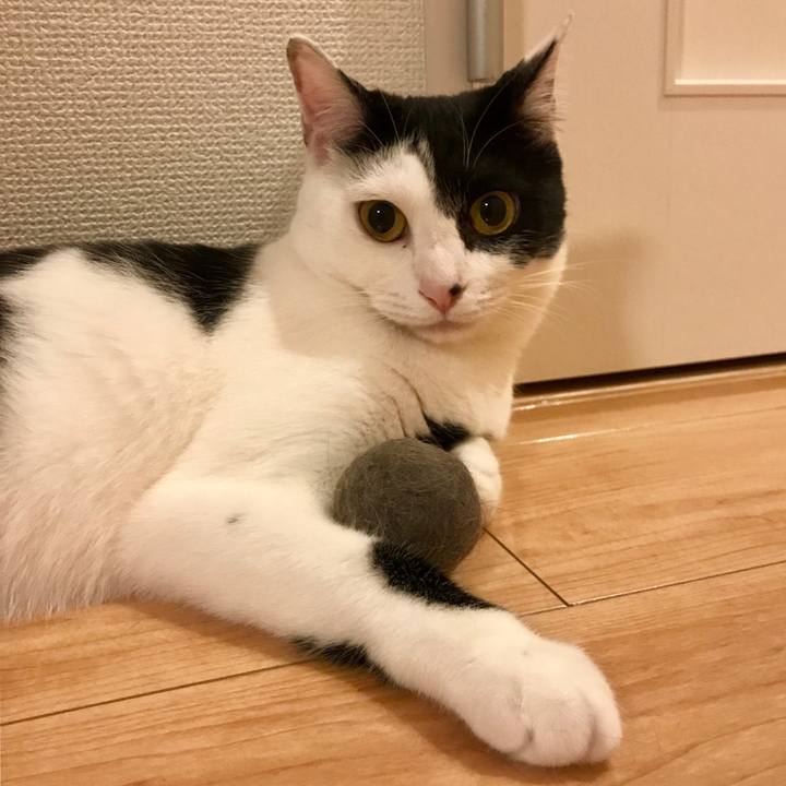 087063cc 33d6 4ada 9d92 c84f6990dfb1 1527576966159