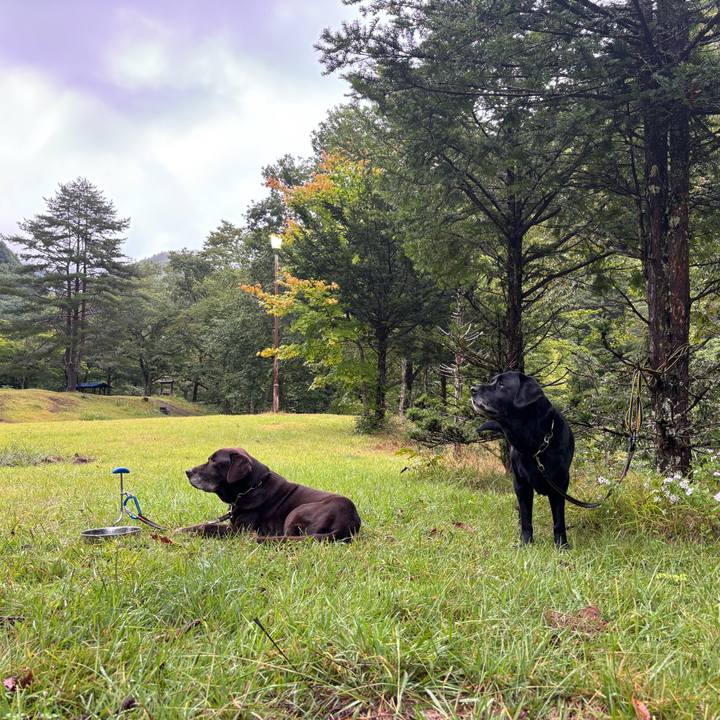 08708047 5ced 4f12 a1d5 4f2b3142242b 1757758184447