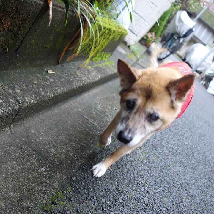 08708153 d19a 46ec 9ff9 0737e55c5ae1 1566425058992