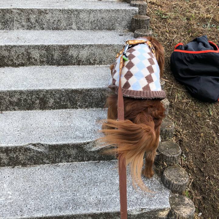 08709fcc d82b 4a02 a055 6a49e1aa218d 1607638852151