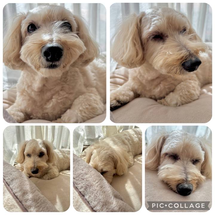 0870b078 6e24 4e46 94e1 519155a1e3f6 1761275009311