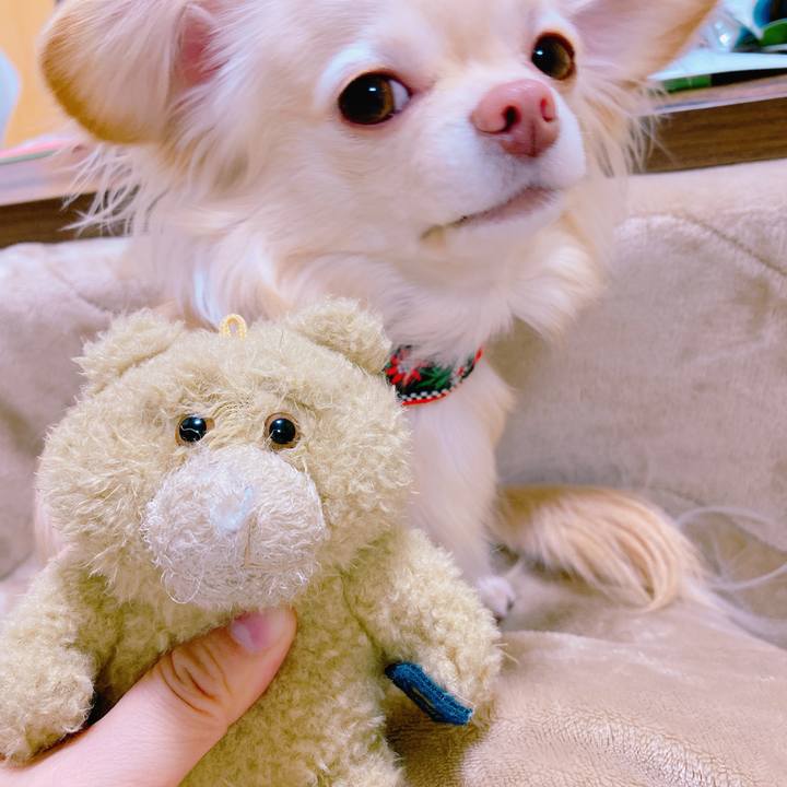 0870c226 052e 4ea5 93aa d81a9746d375 1644843578806