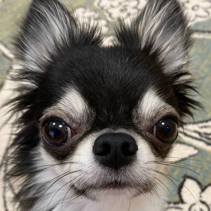 0870d969 f02b 415e 9e96 bf9c2ba5c251 1630793389213