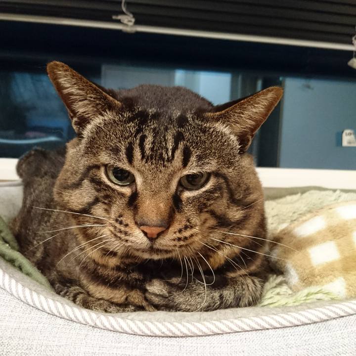 08710b8f 68f3 4e36 a173 71455e74382e 1537007399032