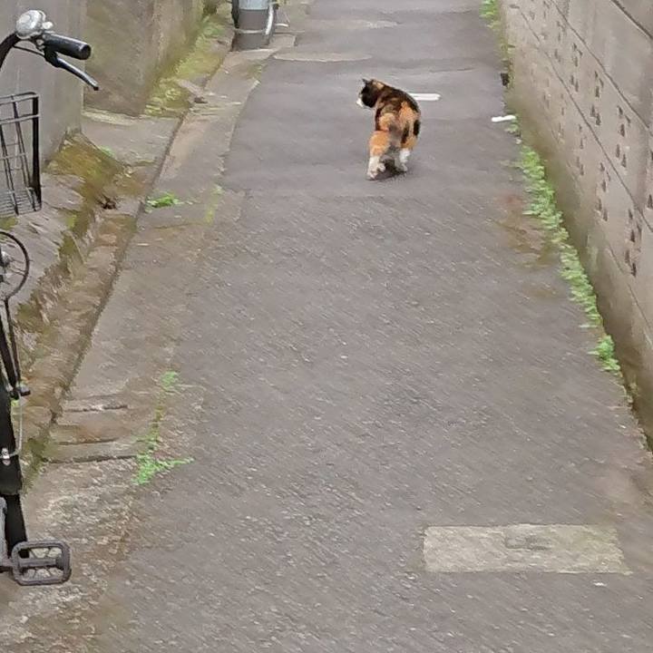 08710dfa c132 4552 bfb4 8271e8a2516b 1680479661202