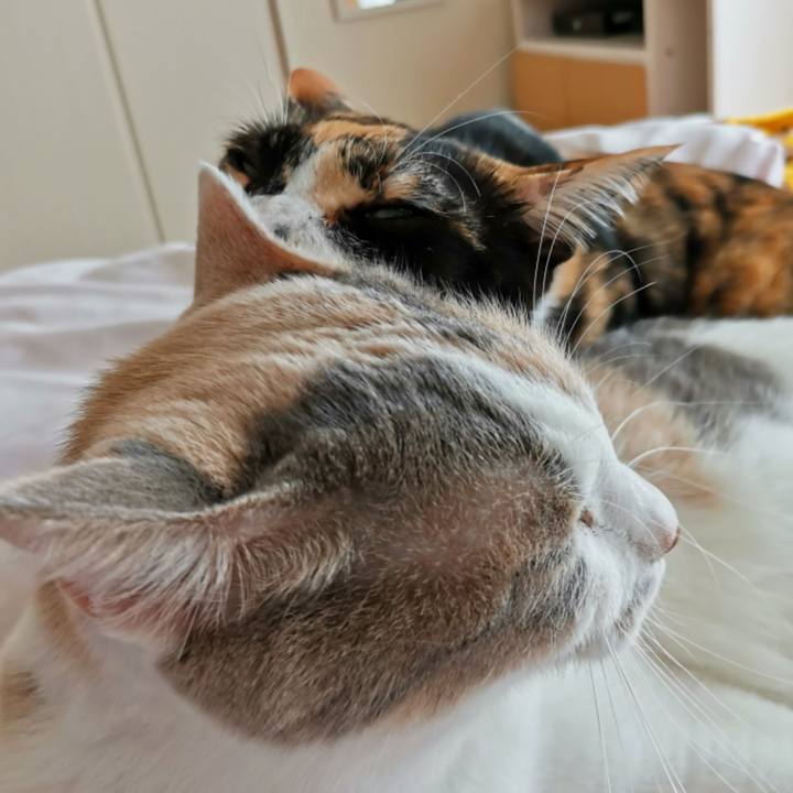 08711d02 ec81 4612 b913 e609092cf888 1666927891207