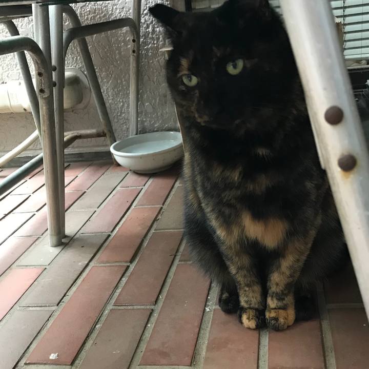 087188c2 110e 486e b545 14315831c489 1511766536519