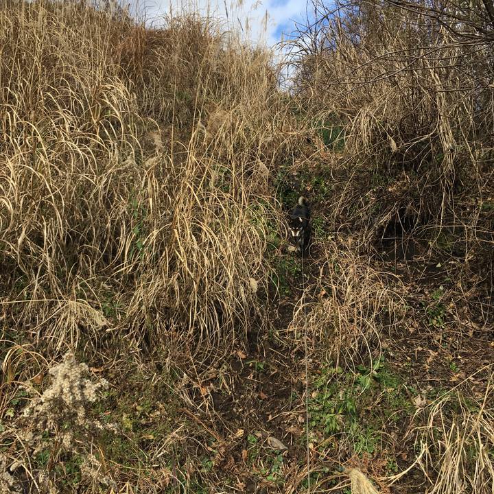 0871a396 3300 4888 ac50 c456dc500f81 1578224861830