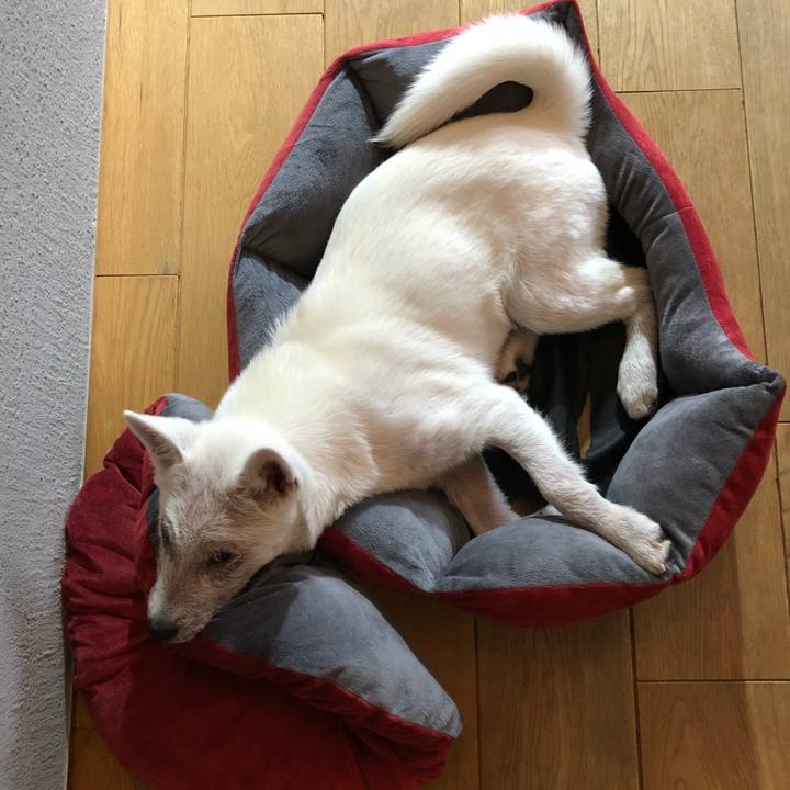 0871f48d f081 44bd 9d1d dff52abc6c13 1514248182231