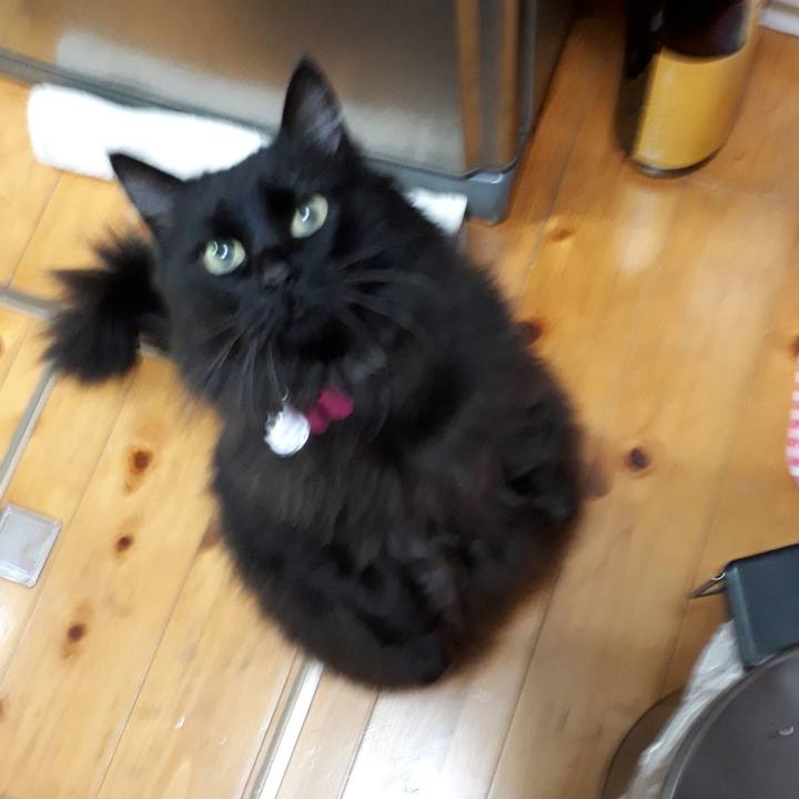 0872126f 6bdf 41fe b96b 27495fc0c18d 1521799961647