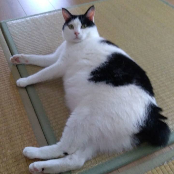 08721768 a480 44cb b779 f753dcba8a1e 1526805203195