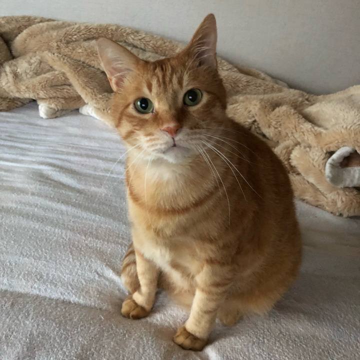 087253de 9966 464a 8053 0be799147fd3 1606514995229