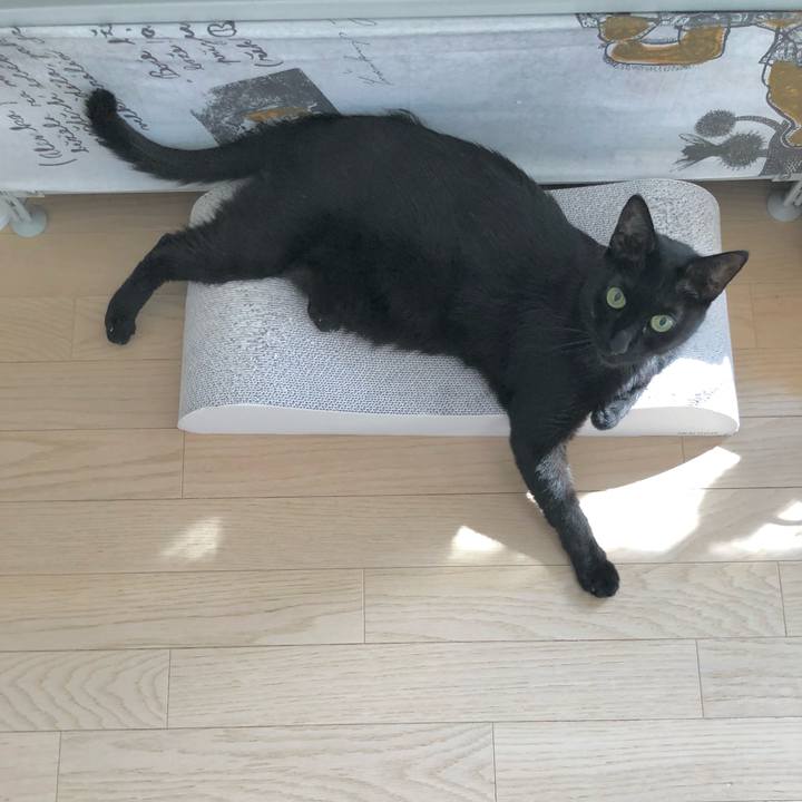 0872643e 1aca 4437 8742 186ba5f2924e 1627782943446