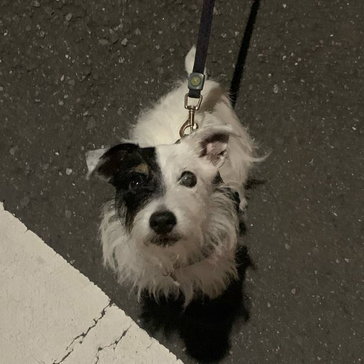 087272d2 4422 429f b64d 126850707e34 1696594279233