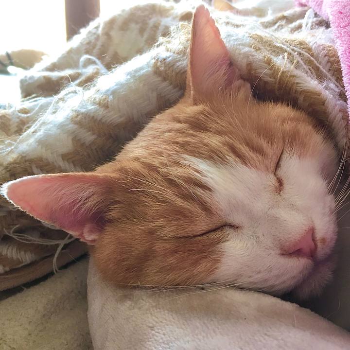 08728d94 4cf8 4b8b bcd8 60643b2d50df 1605164538614