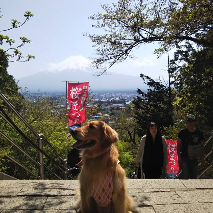 0872a5b4 267e 4424 8f0d 07b81f832228 1524495972575