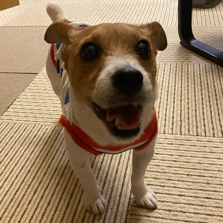 0872dec9 6e28 4ab6 9a6e f65a27d027a7 1589376935522