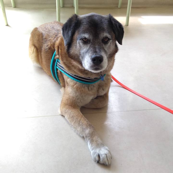 0872ebc1 632b 47c9 a00c 1b04e9d2803b 1557723858465